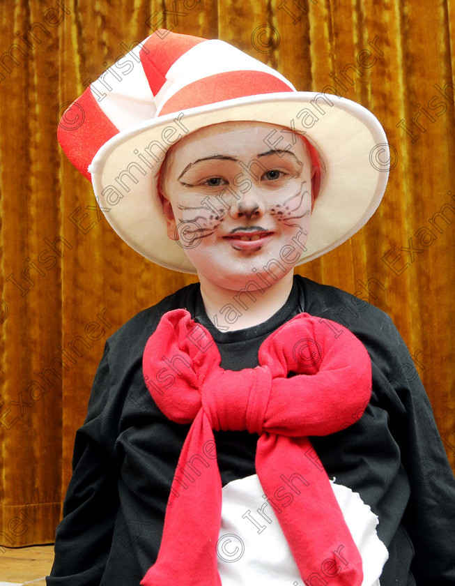 cat in the hat costume ireland